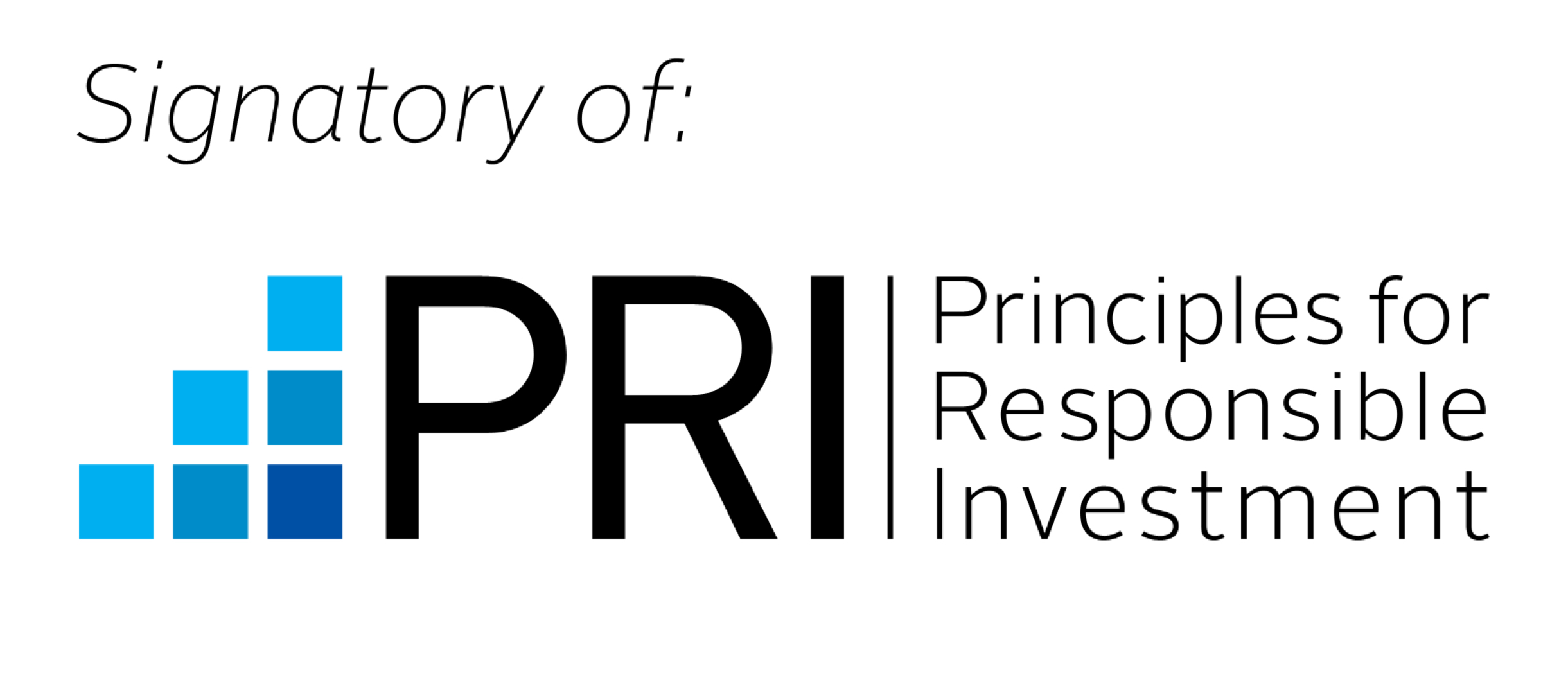 UN PRI Logo