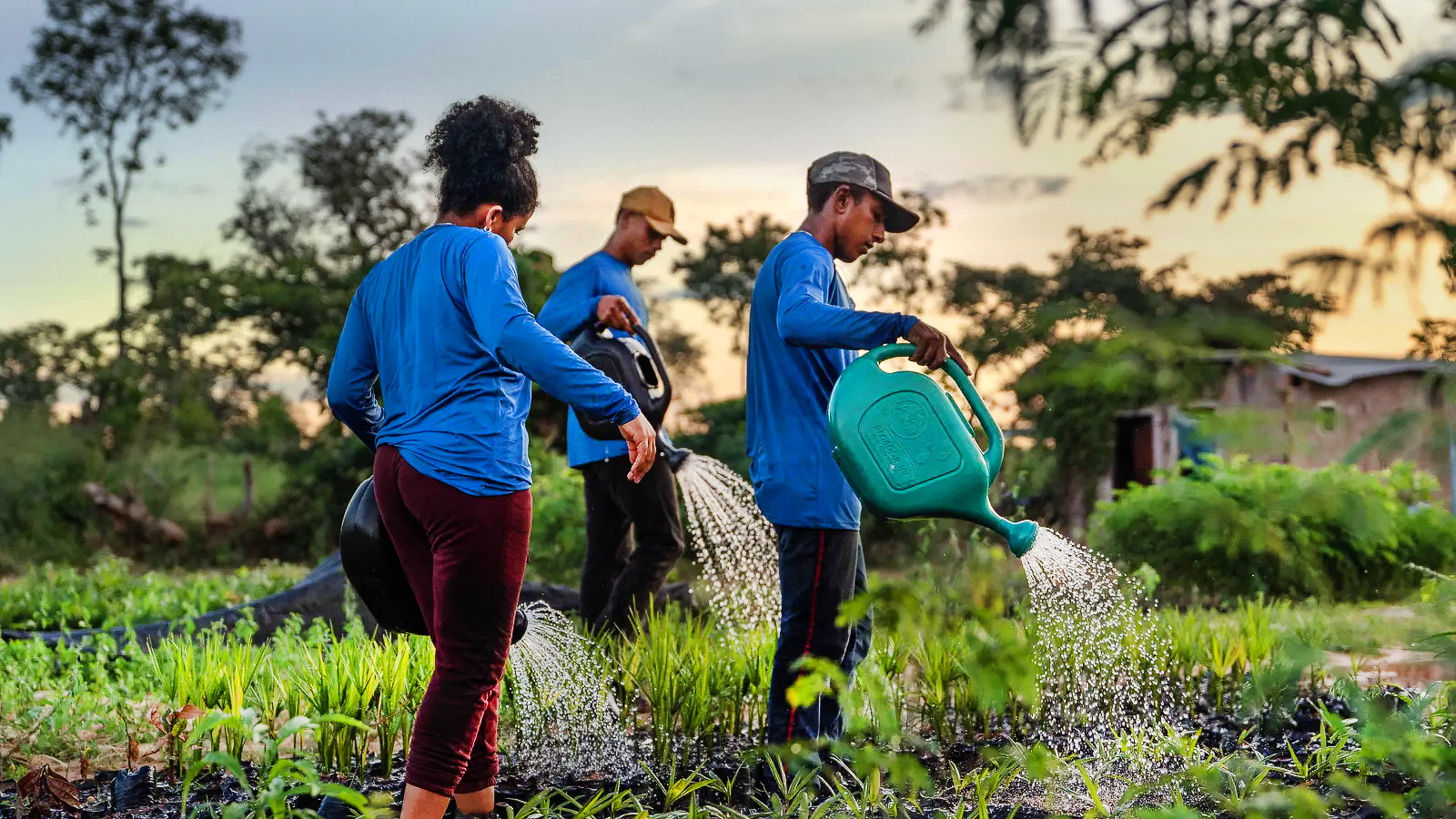 Eden Reforestation Projects: The Eden team watering seedlings at the Parnaguá nursery.